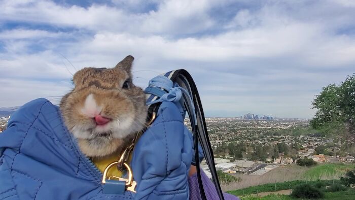 Me encanta ir de excursión, déjame tomar un poco de aire