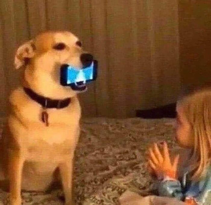 This Instagram Account Shares Animal Pictures That Are Impossible To Explain, Here Are 50 Of The Funniest