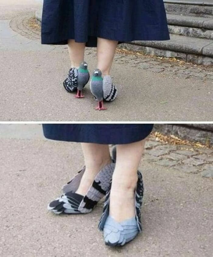 "Vi estos adorables pájaros que un amigo compartió y pensé que tenían que estar aquí... ¿Quién llevaría esto?"