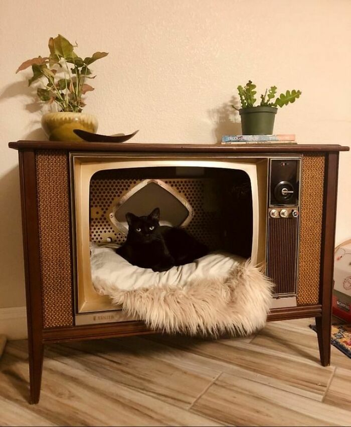 "TV Zenith de los años 60. Sacamos el tubo. Los libros, el plato bimorfo y la maceta de cerámica californiana esmaltada también son de mercadillo"