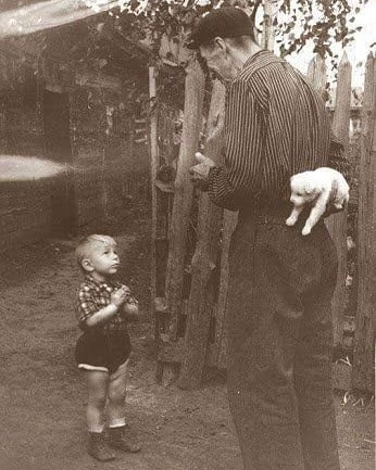 Un niño a punto de recibir un perro por su cumpleaños (1955)