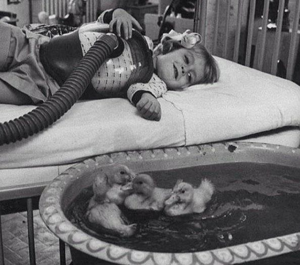 Utilización de patitos como parte de una terapia médica en 1956