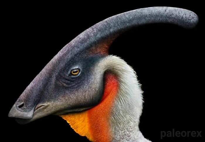 Parasaurolophus