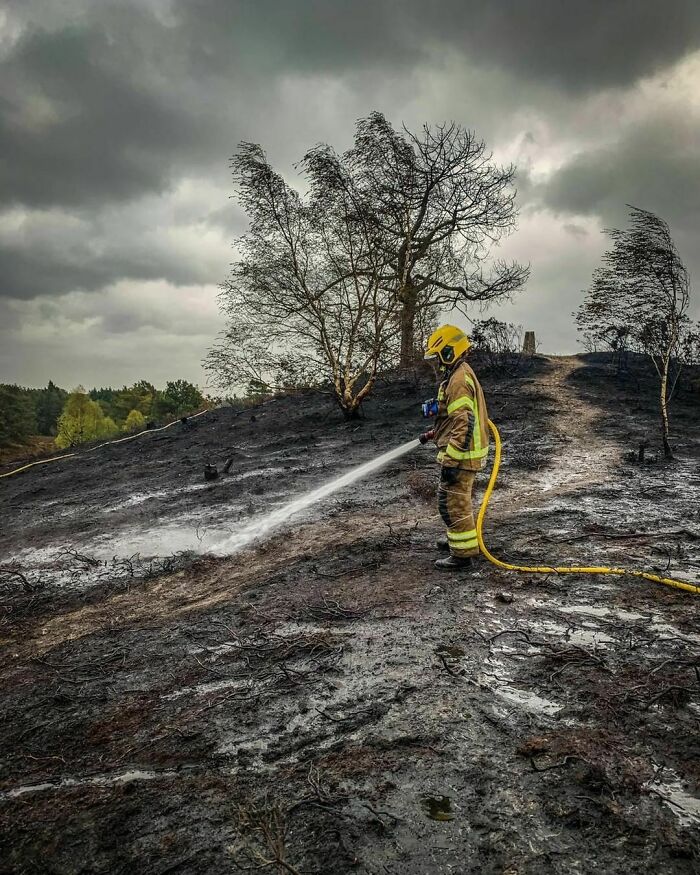 El tiempo cálido y seco que se espera para esta semana, ha llevado a la emisión de una alerta ámbar de incendios forestales para el área del Servicio de Incendios y Rescate de Dorset y Wiltshire.