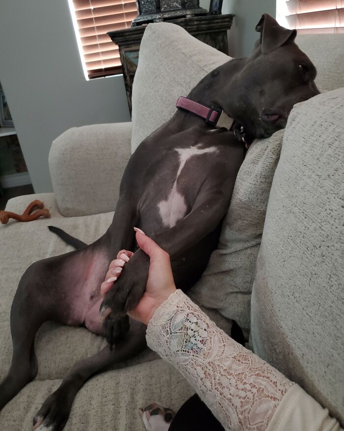 Fiona es un poco melodramática