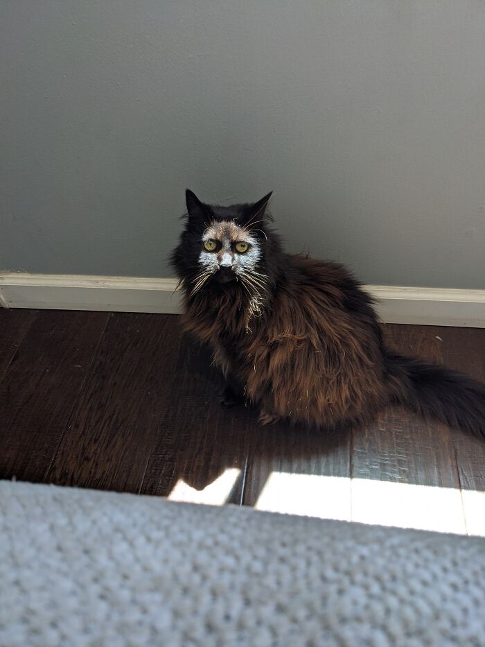 Cara de fantasma