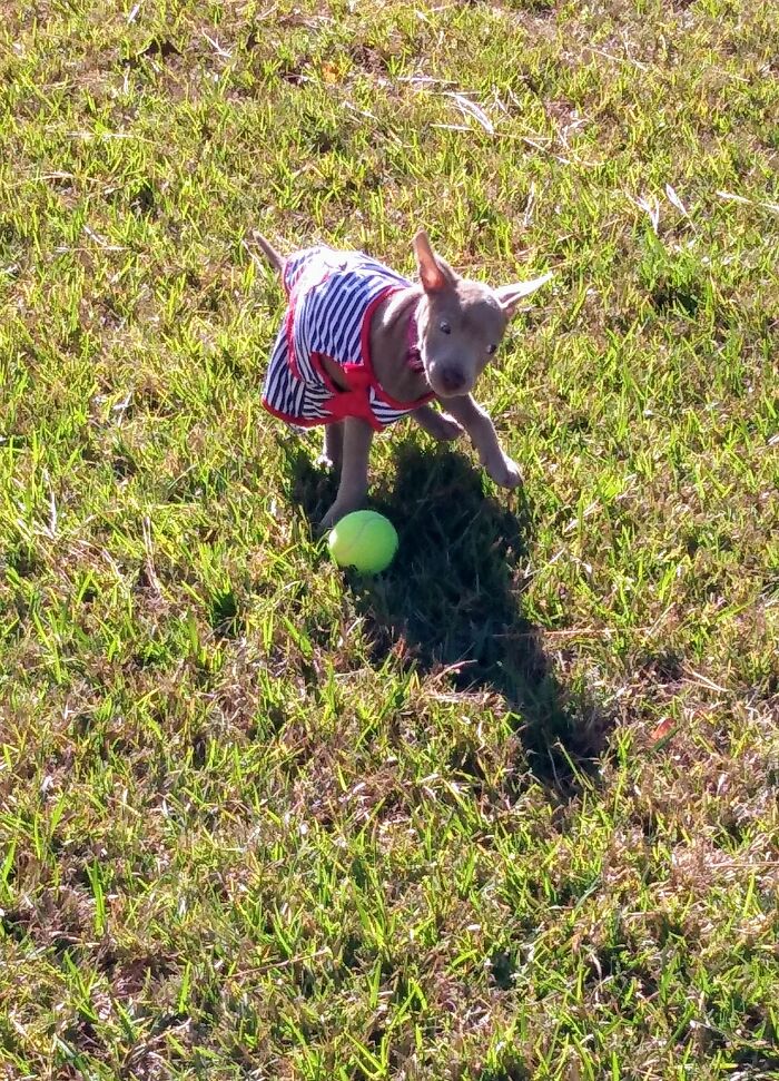 No puedo jugar a la pelota con este estúpido vestido