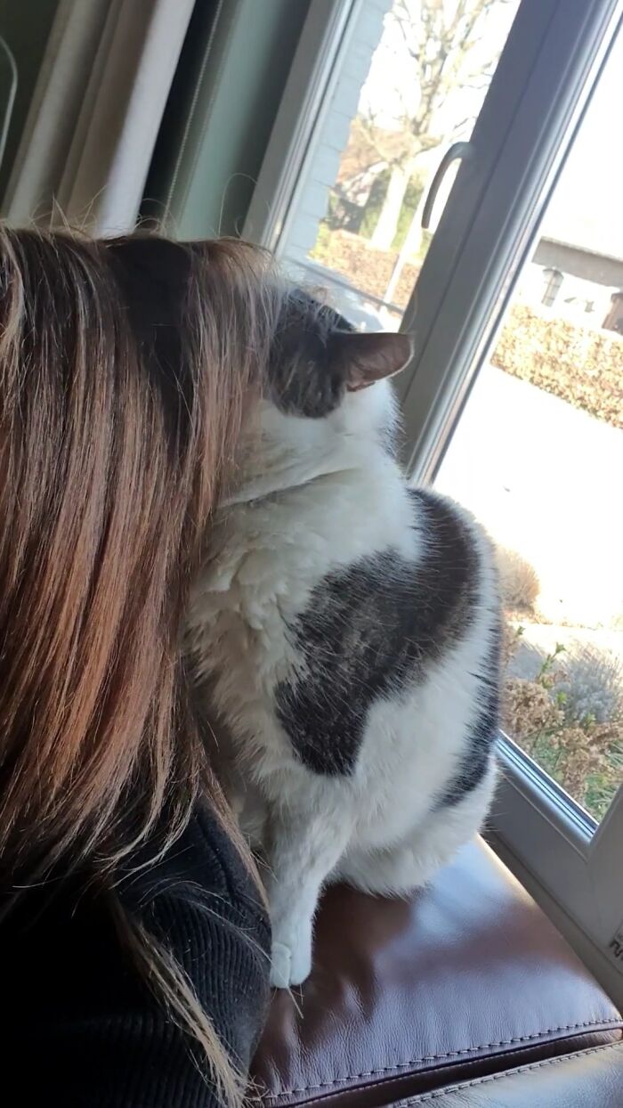 Le encanta hurgar en el pelo y puede sentarse así durante horas