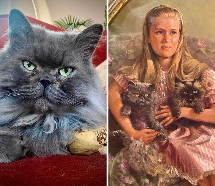 Este bebé que acabo de adoptar tiene un extraño parecido con este gato de un retrato que compré hace años