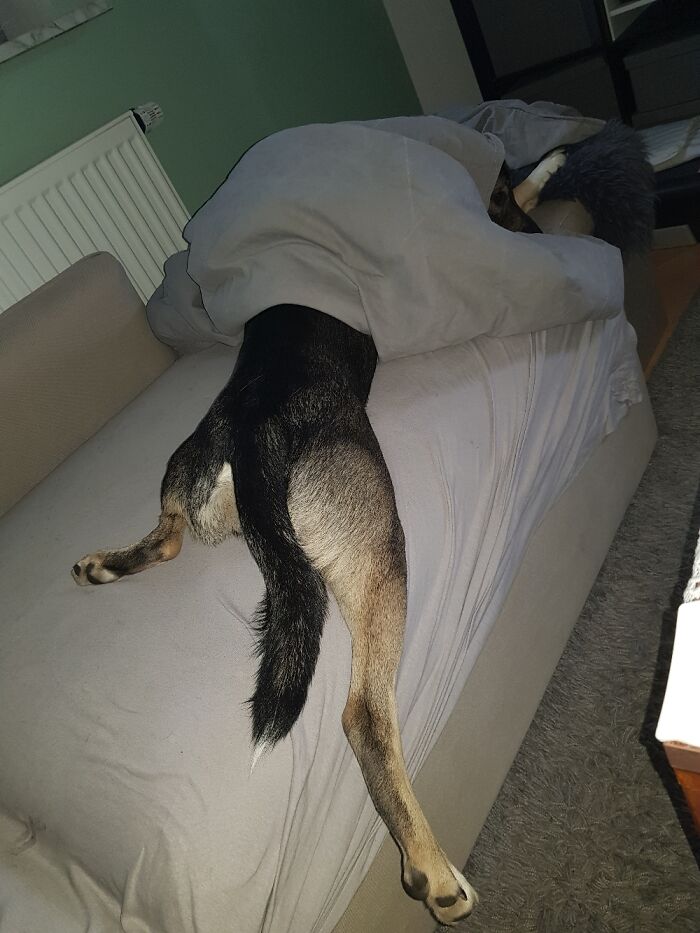 Cuando la mañana llega demasiaaaado pronto