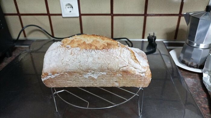 No tenía pan, pero no quería correr a la tienda sólo para eso (sabemos que nunca es sólo para una cosa). Tuve que usar el horno de todos modos, así que... Aquí está el pan con mejor aspecto que he hecho en mi vida
