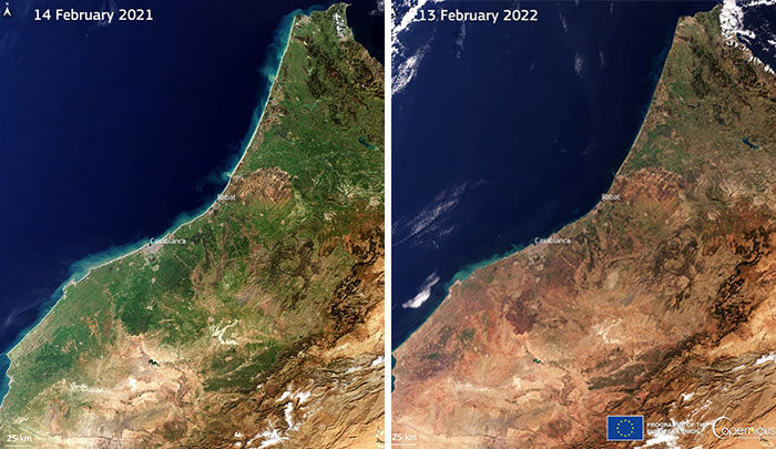 Marruecos sufre la peor sequía en décadas