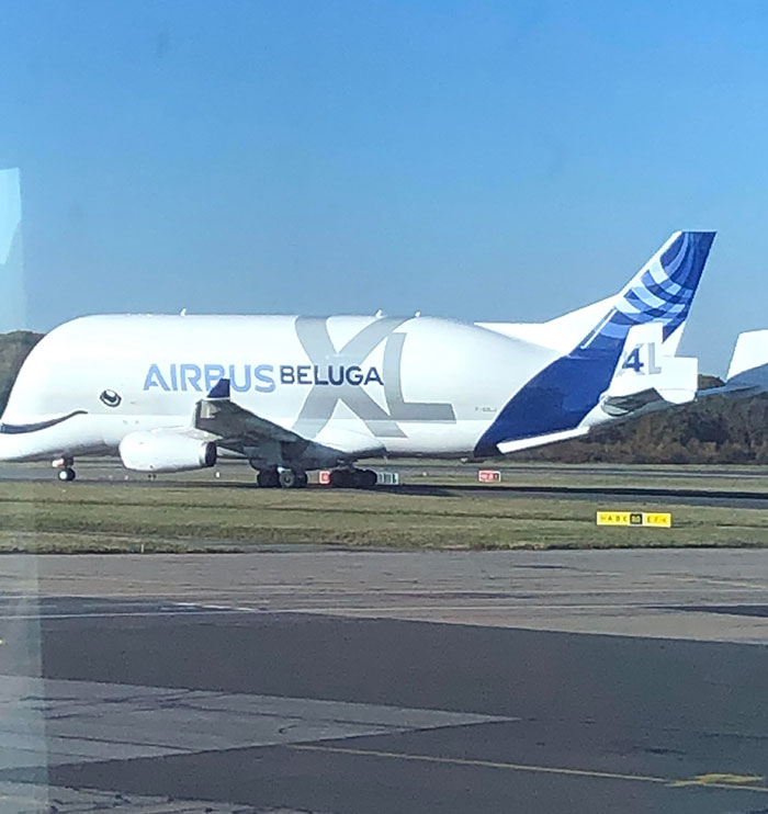 Este avión fue diseñado para parecer una ballena