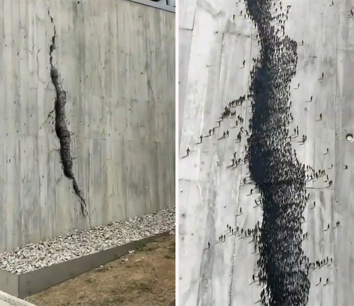 Cuando lo roto no está realmente roto