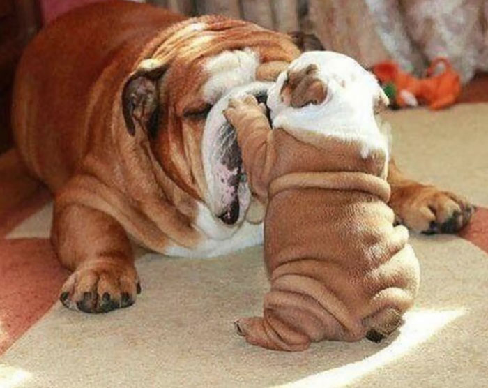 Te amo, mamá 