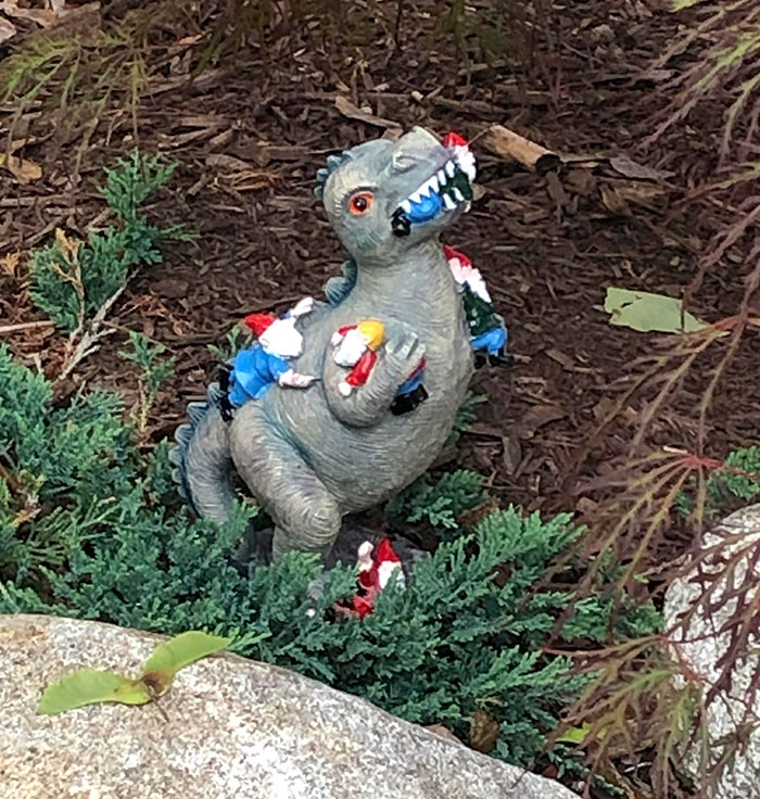 Mi esposa escondió esto en nuestro patio trasero y esperó días hasta que lo descubrí