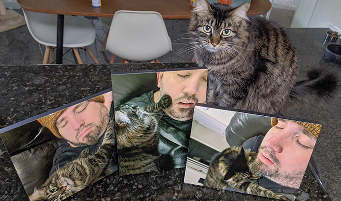 Durante meses, mi esposa ha recopilado en secreto fotos mías durmiendo. Hoy, durante el día del padre, me regaló esta colección. Les presento: “Durmiendo con el gato”