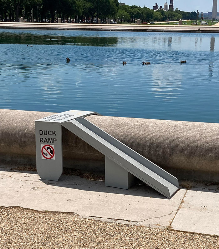 Rampa para patos