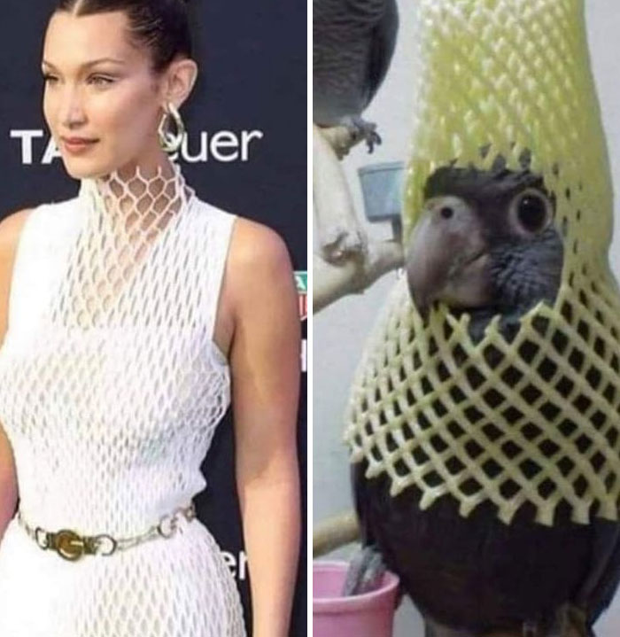 Se ven iguales