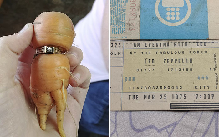 30 Personas que encontraron cosas tan inesperadas, que tuvieron que compartirlas