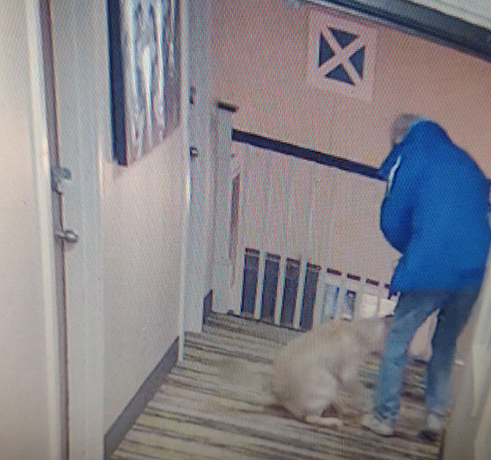 Este imbécil dejó que su perro defecara en el pasillo del hotel que manejo. No lo limpió. No avisó a nadie. Luego me discutió cuando le cobré la limpieza