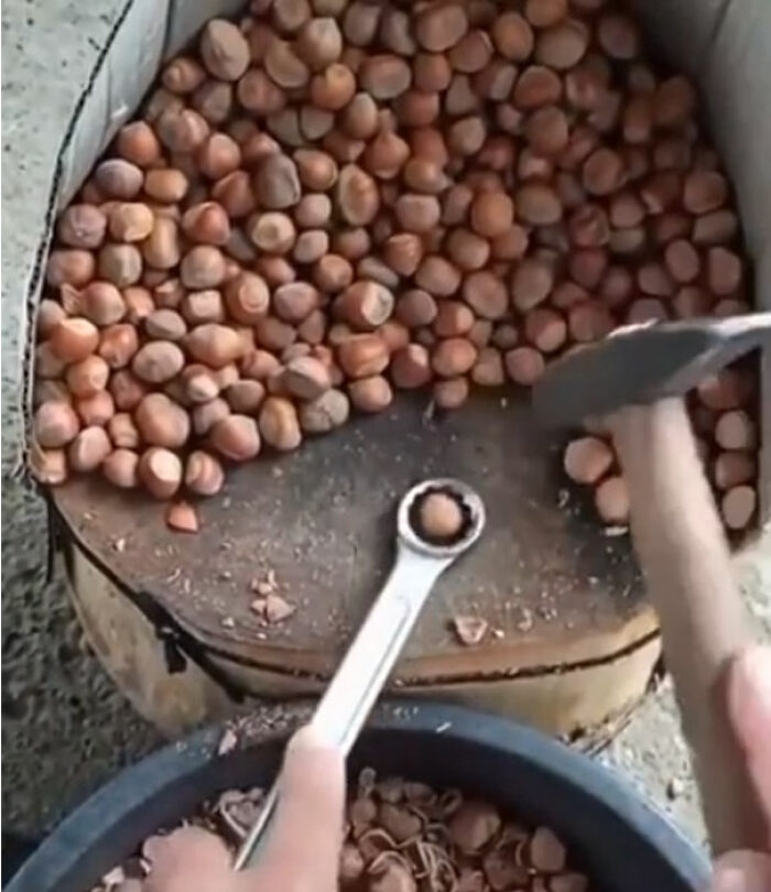 La forma más rápida de romper las nueces