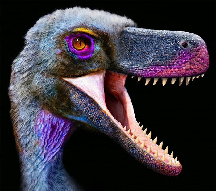 Un artista muestra cómo podrían ser estos animales extintos en la vida real en 30 ilustraciones