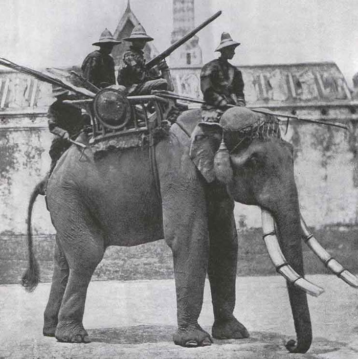 20 Inesperados actos de bondad que ocurrieron a lo largo de nuestra historia