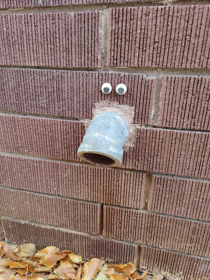 Encontré a este tipo esta mañana