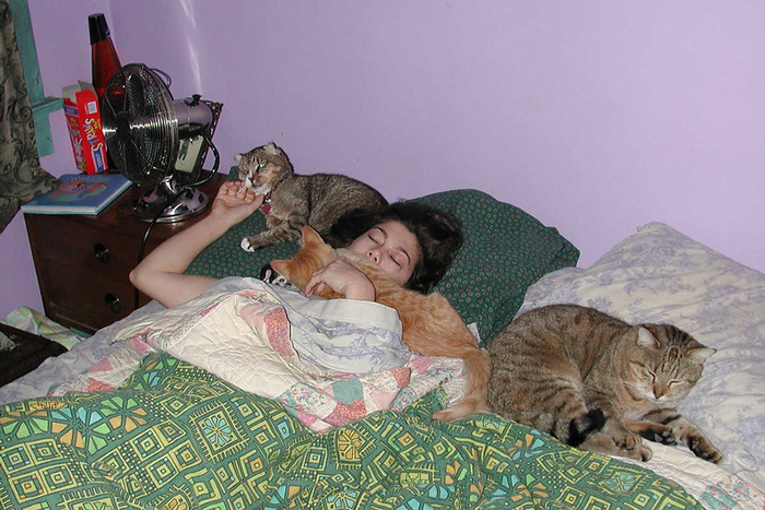 Estos usuarios relatan cómo son las curiosas rutinas nocturnas de sus gatos