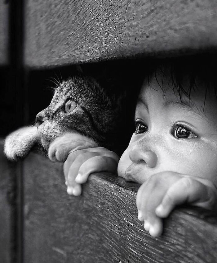 This Instagram Account Features Amusing Street Photographs And Has More Than 500 Thousand Followers (30 New Pics)