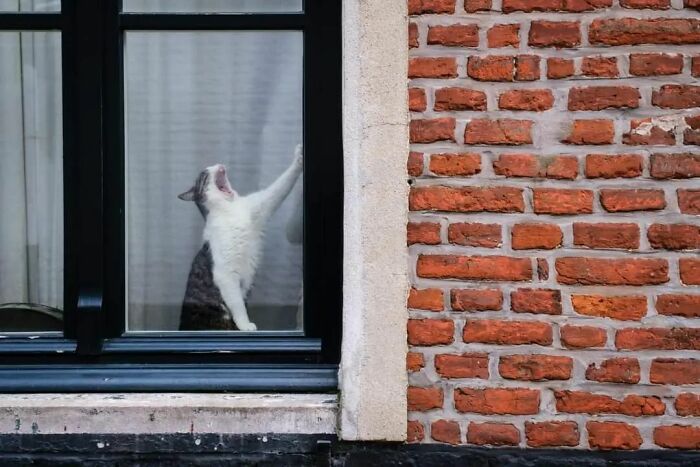 30 Extraordinary Pictures Taken By Jeffrey De Keyser Embracing "The Absurd Human Condition"