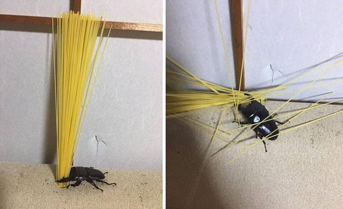 “Japanese Stuff Without Context”: 40 Funny And Weird Pics That Showcase How Unique Japan Really Is