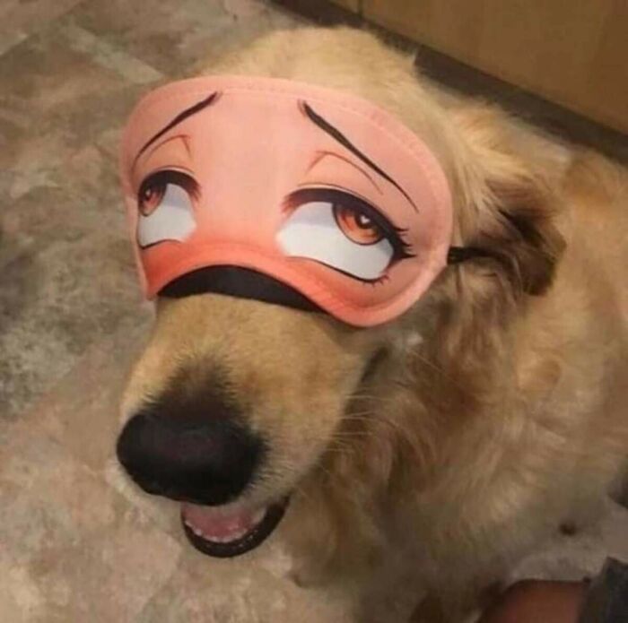 “Japanese Stuff Without Context”: 40 Funny And Weird Pics That Showcase How Unique Japan Really Is