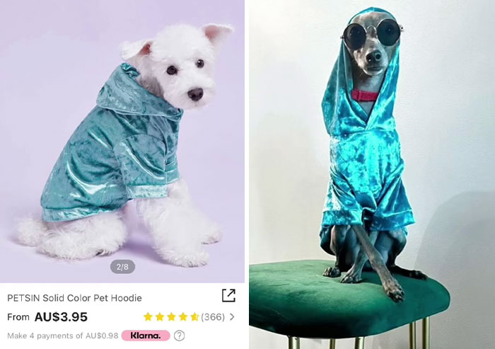 30 Times Shein Customer Reviews Were Even More Entertaining Than The Products They Sell