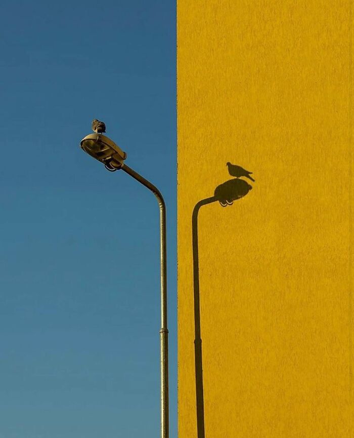 This Instagram Account Features Amusing Street Photographs And Has More Than 500 Thousand Followers (30 New Pics)