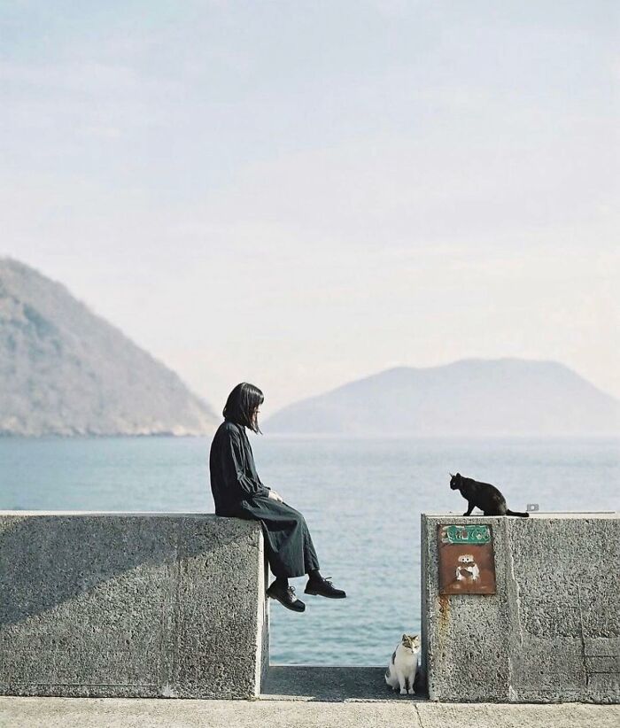 This Instagram Account Features Amusing Street Photographs And Has More Than 500 Thousand Followers (30 New Pics)