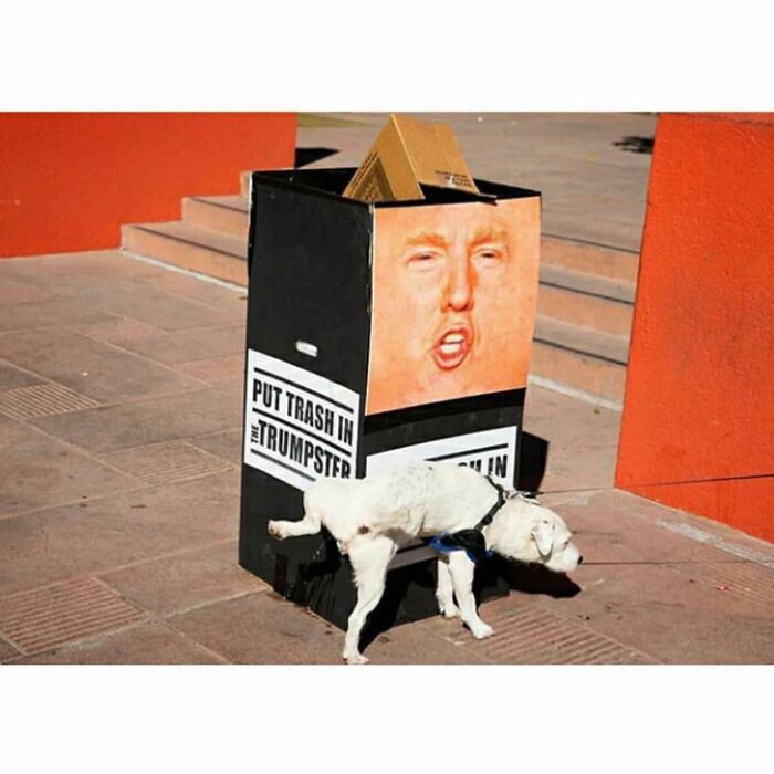 This Instagram Account Features Amusing Street Photographs And Has More Than 500 Thousand Followers (30 New Pics)
