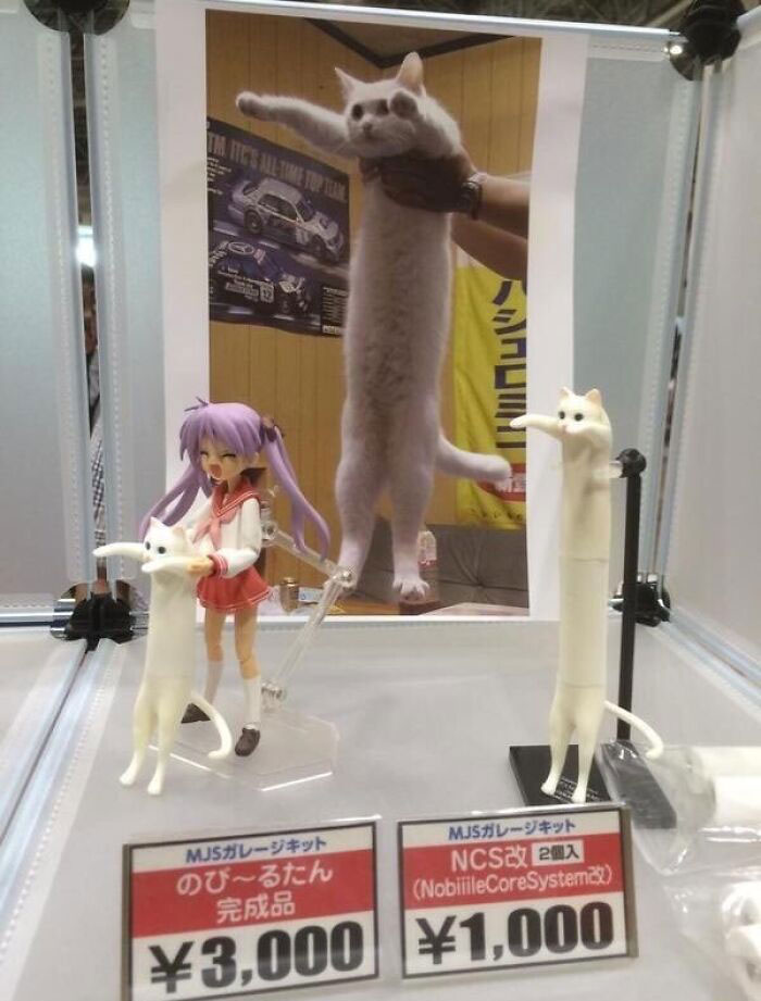 “Japanese Stuff Without Context”: 40 Funny And Weird Pics That Showcase How Unique Japan Really Is