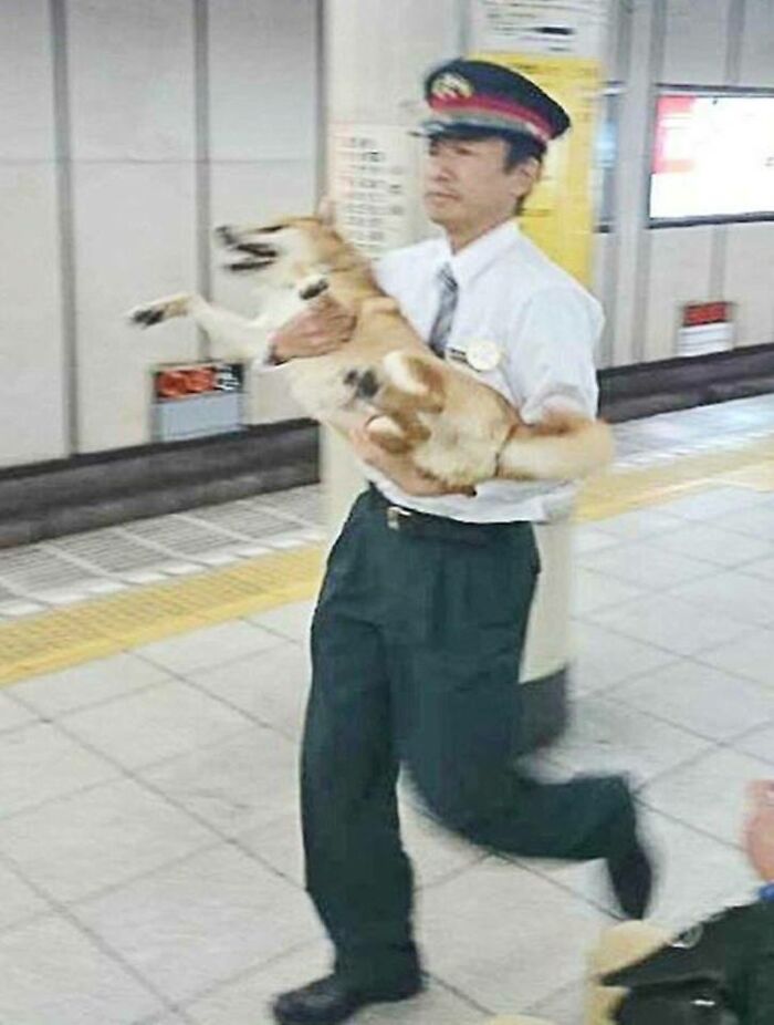 “Japanese Stuff Without Context”: 40 Funny And Weird Pics That Showcase How Unique Japan Really Is