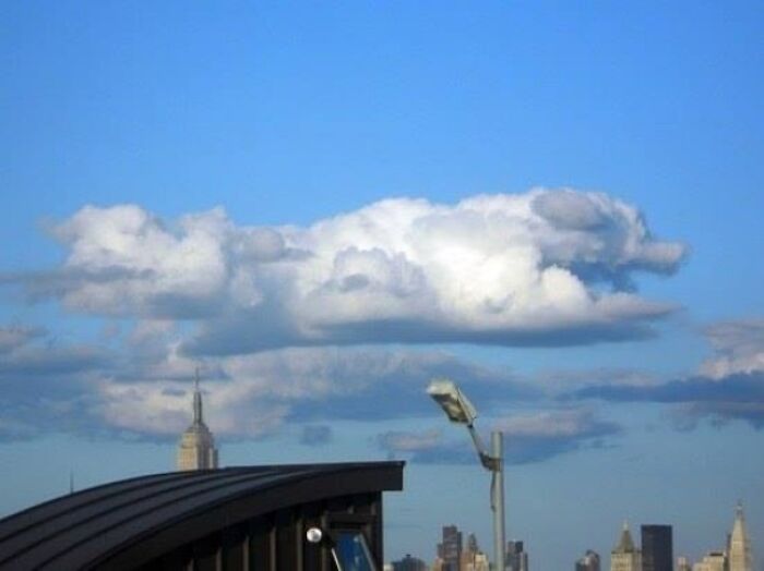 ¿Nube de perro o Fújur? 