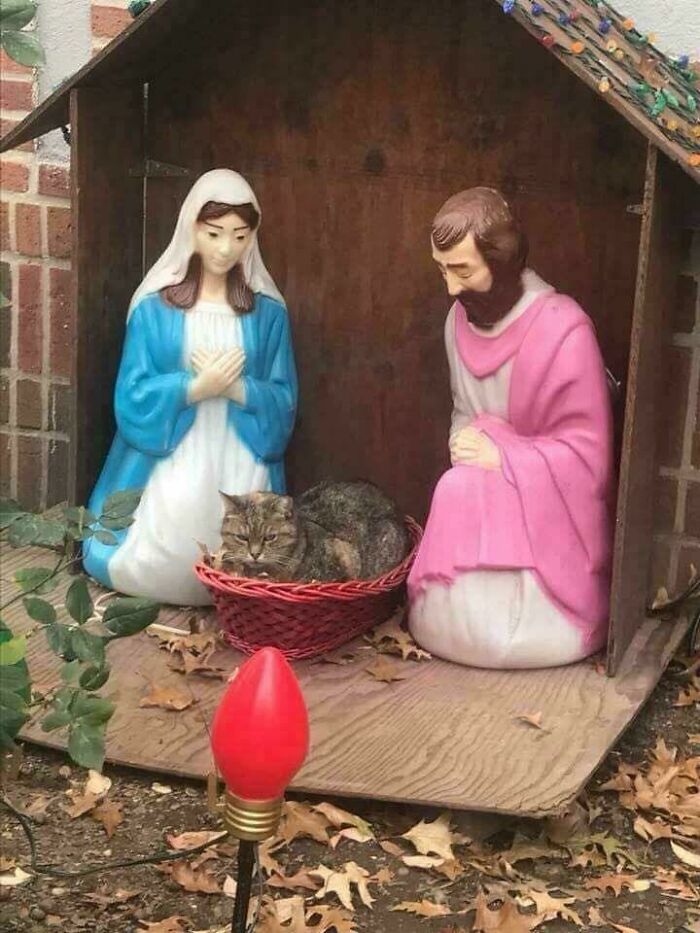 Soy el niño Jesús