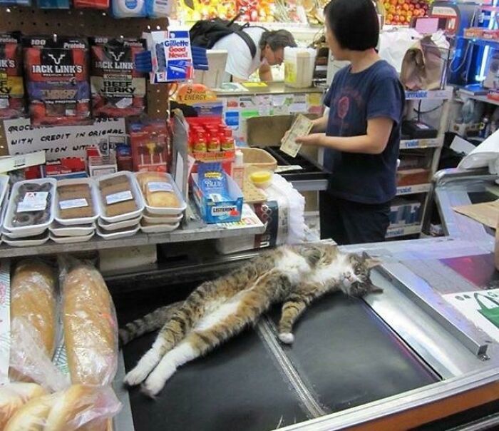 “¡Necesito comprobar el precio!”