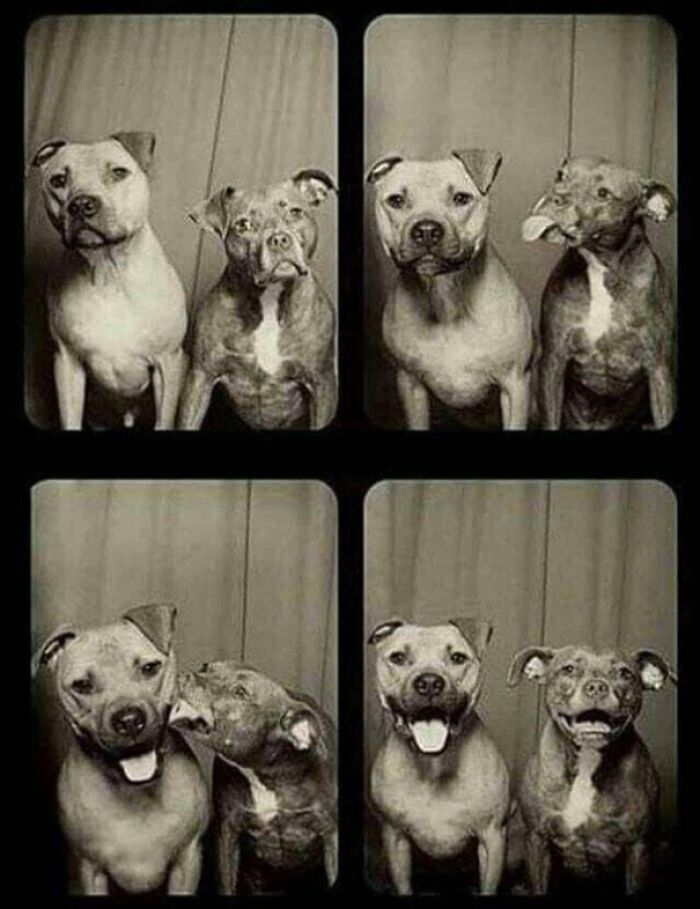 ¿Sólo un besito?