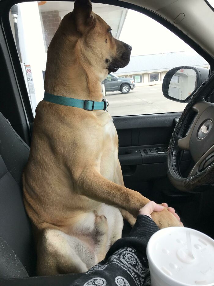 Le gusta que le de la mano cuando espera a su padre