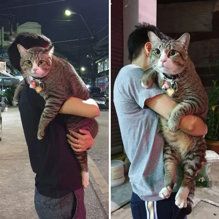 El tamaño absoluto de este chico