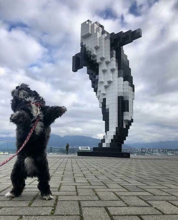 Hmmm