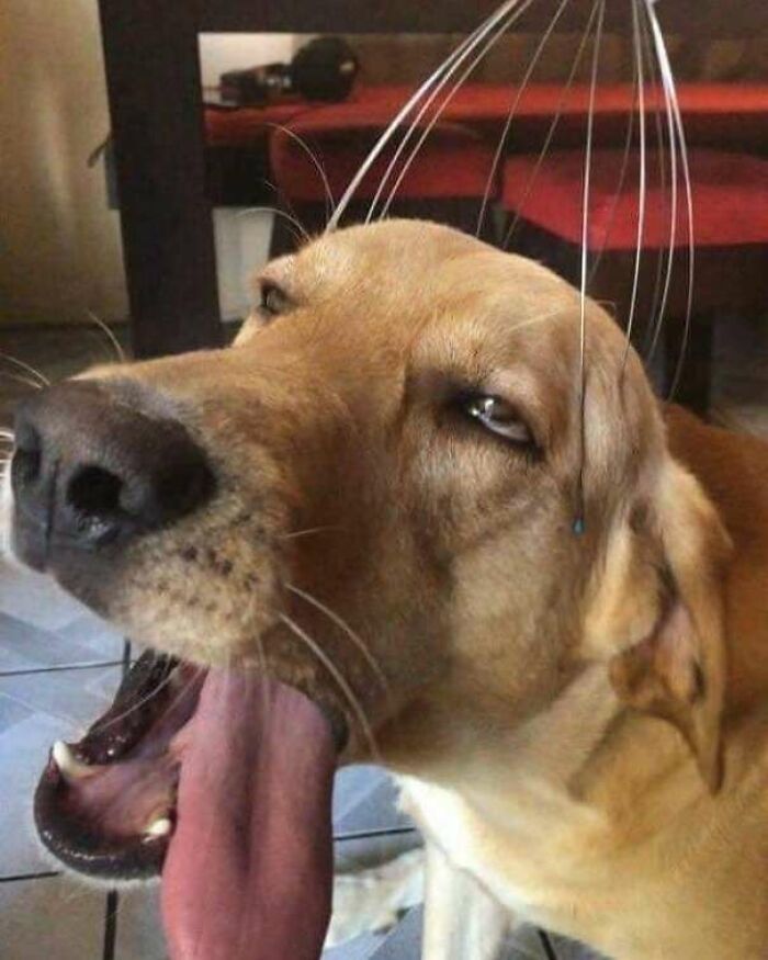Hmmm