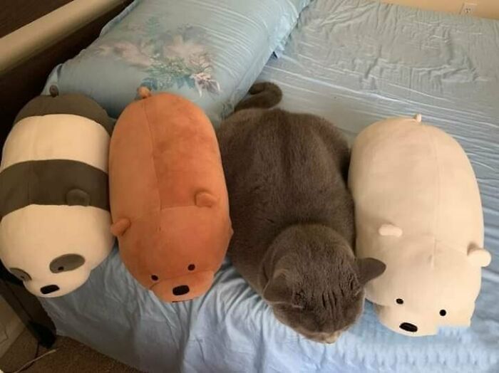 Hmmm