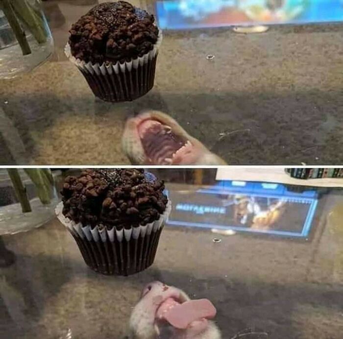 Hmmm